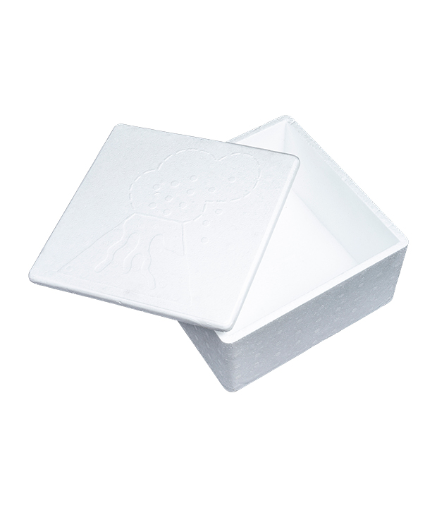 Caja de embalaje EPS